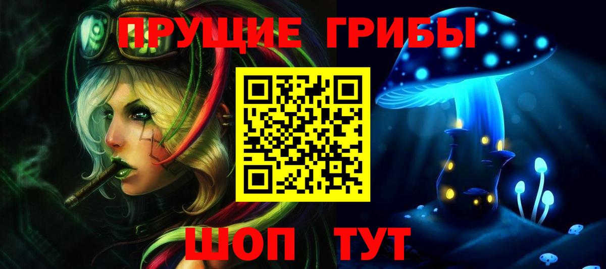 Галлюциногенные грибы Psilocybine cubensis Екатеринбург