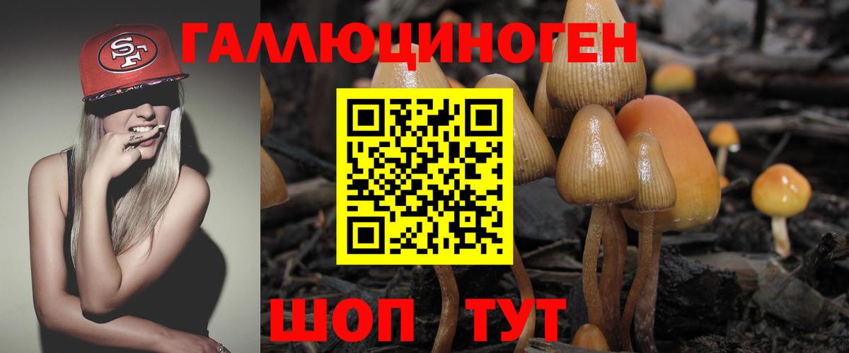 наркотики  Вход с VPN  Псилоцибиновые грибы прущие грибы  Екатеринбург  Псилоцибиновые грибы Cubensis 